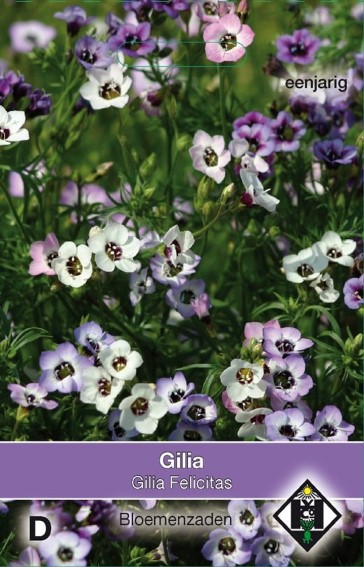 Vogeloogjes Felicitas (Gilia tricolor) 2000 zaden